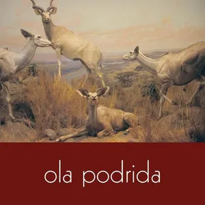 Ola podrida